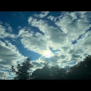 Meet your Posher, Ebony